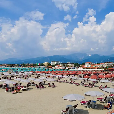 Terrazza Apuana A Few Steps From The Sea - Happy Apartment *